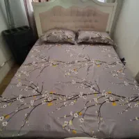 سرویس خواب|تخت و سرویس خواب|بندر انزلی, پردیس|دیوار