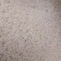 برنج چمپا|خوردنی و آشامیدنی|اهواز, پردیس دو|دیوار