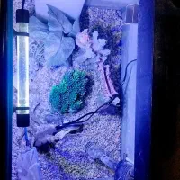 آکواریوم شیشه خم