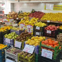 نیروی چیدمان