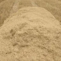 کاه کیلو 14|عمده‌فروشی|بهبهان, |دیوار