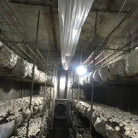 سالن قارچ رهن|اجارهٔ دفتر صنعتی، کشاورزی، تجاری|تهران, مرزداران|دیوار
