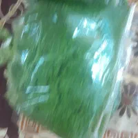 سبزی خورشتی ماهی آشی قلیه پلویی سوپ|عمده‌فروشی|حمیدیه, |دیوار