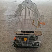 قفسه پرنده عروس هلندی