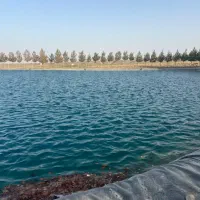 زمین-گلخانه-با-برق-سه-فاز-دوردیوار-کاهو