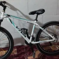 دچرخه ویوا ۲۶