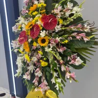 تاج گل|گل و گیاه طبیعی|مشهد, یاس|دیوار