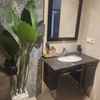 درختچه مصنوعی و روشویی کابینتی|گل مصنوعی|تهران, پاسداران|دیوار