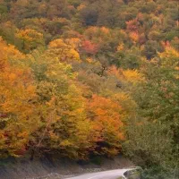 منزل ویلایی جاغرق ۱۳