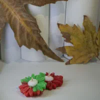 شمع های دست سازه زیبای یلدا|صنایع دستی و سایر لوازم تزئینی|شهریار, شهرک عباس پور|دیوار