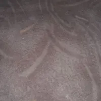 ۲قطعه موکت جمعا به ابعاد ۱۵ متر باقیمت ۱۲۰۰۰۰۰ت|موکت|بجنورد, |دیوار