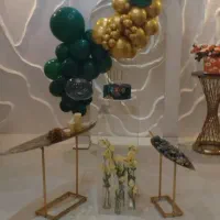 دیجی خانم واقا