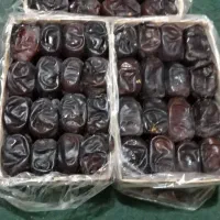 خرما مضافتی