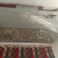 آکواریوم