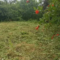 ۵۴۰ متر زمین تمام مسکونی بهر جاده اصلی قیمت شکاری|فروش زمین و ملک کلنگی|صومعه‌سرا, |دیوار