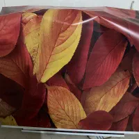 شید اتاق خواب و اتاق کودک