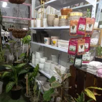 واگذاری مغازه|گل و گیاه طبیعی|بهارستان, |دیوار