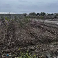 فروش باغچه سه بر در دینار آباد شهریار