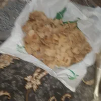 نان خشک