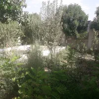 فروش-قسمتی-ازباغ-عاشق-آباد