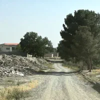 باغچه-قدیمی-221-متری-چسب-بافت-تکبرگ-سند