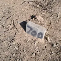 فروش  زمین کشاورزی|فروش زمین و ملک کلنگی|هشتگرد, حمیدیه|دیوار