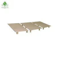 یک جفت کفی تخت