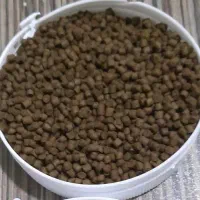 غذا ماهی بیومار لوفاک|ماهی|تهران, استاد معین|دیوار