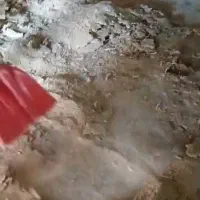 کود مرغی گوشتی|خدمات باغبانی و درختکاری|بختگان, |دیوار