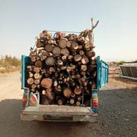 خرید فروش انواع چوپ