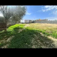 خرید و فروش چوب خشک وتر