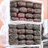 خرمارطب بم|خوردنی و آشامیدنی|بم, |دیوار