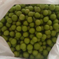 گوجه ترد و درشت