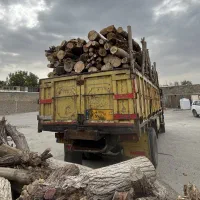 خریدار چوب ،قطع درخت برش کاری هرس
