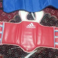 هوگوو توکواندو وشو