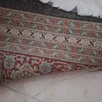 فرش ماشینی|فرش|چهاردانگه (تهران), |دیوار