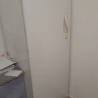 یخچال فریزرنگین