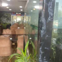 به تعدادی پیک متوری جهت همکاری نیازمندیم