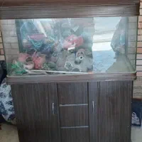 اکواریوم وتخت