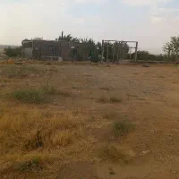 باغ-فروشی
