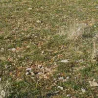 نیازمند سرمایه گذار