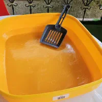 لوازم گربه