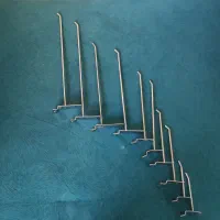 شاخک های رگال در 5 سایز متفاوت
