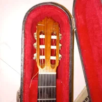 گیتار کلاسیک شینانو گیتار الکتریک ژاپن|گیتار، بیس، امپلیفایر|تهران, سازمان برنامه جنوبی|دیوار