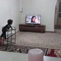 ۵۸متر ۱خواب ط۱|اجارهٔ آپارتمان|تهران, سلسبیل|دیوار