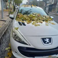 پژو ۲۰۷ tu5|خودرو سواری و وانت|مشگین شهر, |دیوار