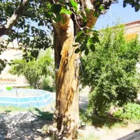 خانه سنتی خاص نزدیک تهران ۱۲۰۰ متر  شهر زاویه