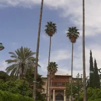 ۱۰۰۰ متر بیدخوار  مزروعی