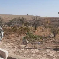 باغ در حسین آباد صبوری|فروش خانه و ویلا|ششتمد, |دیوار