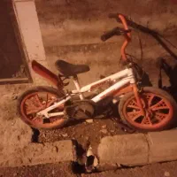 دوچرخه بچه گانه رینگ اسپرت ودوعددلاستیک سایز16|دوچرخه، اسکیت، اسکوتر|مشهد, فدک|دیوار